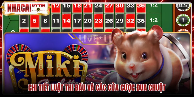 Quy tắc đặt cược cùng tỷ lệ thanh toán game Đua chuột