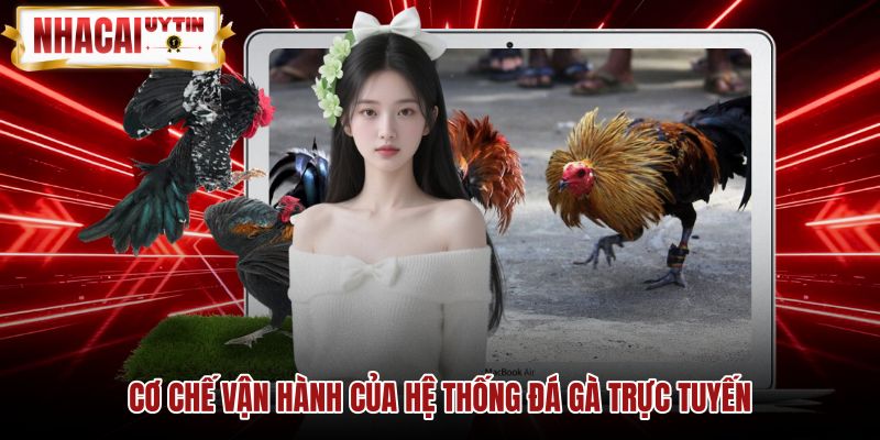 Cơ chế truyền dữ liệu đá gà trực tuyến không độ trễ