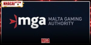 MGA - Tiêu Chuẩn Giấy Phép Và Cách Tra Cứu Chính Thức