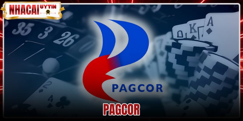 PAGCOR - Quy Trình 3 Bước Tra Cứu Giấy Phép Chuẩn Xác
