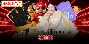 Sodo66 - Review Nhà Cái Và Link Vào Mới Nhất 2026