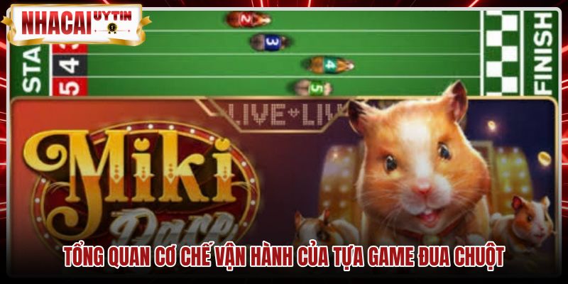 Cơ chế thuật toán ngẫu nhiên trong trò chơi Đua chuột